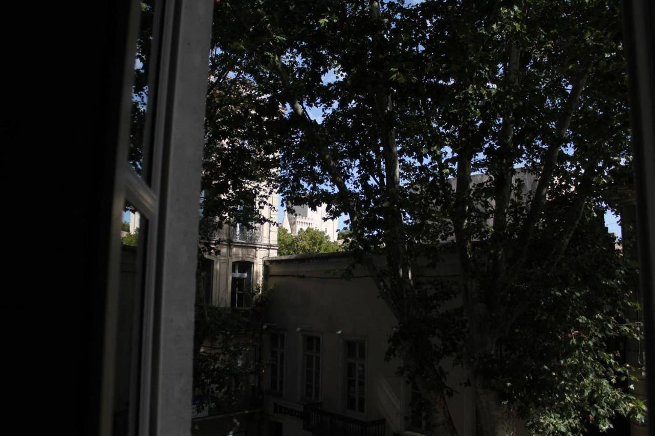 Appartement Rue Carnot Αβινιόν Εξωτερικό φωτογραφία